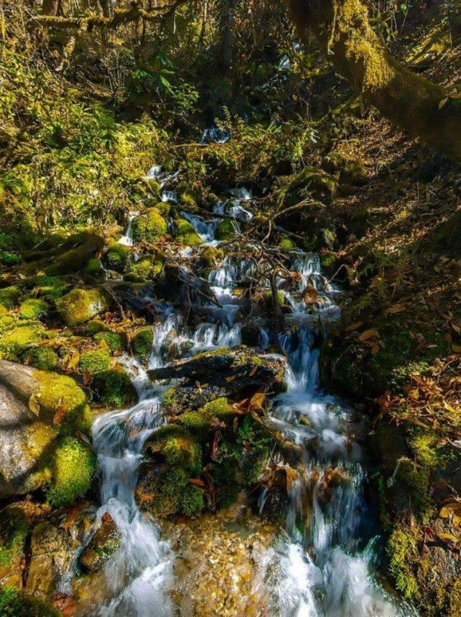苍南县江南再生水厂(江南污水处理厂)工程一期项目喜获市级安全生产标准化工地称号!